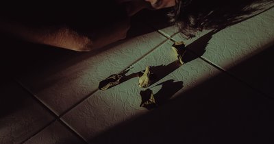 Vitamin-D-Mangel Depressionen: Psychische Folgen