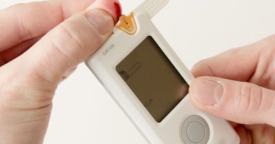 LDL-Cholesterin Wert zu hoch: Ursachen