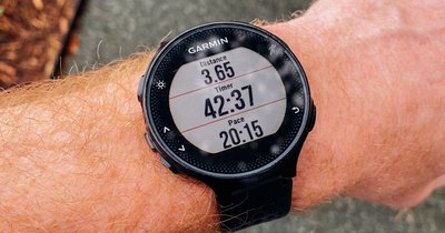 Garmin Uhr Blutdruck messen: Funktionen